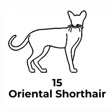 Personalized Silhouette Cat Necklace