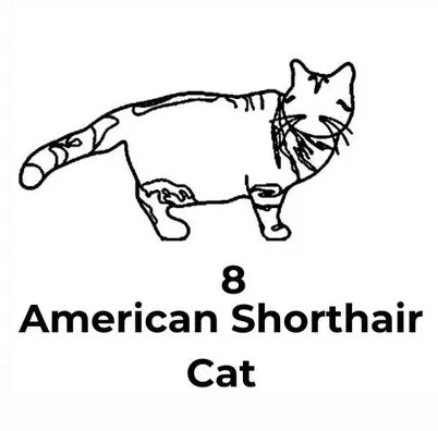 Personalized Silhouette Cat Necklace